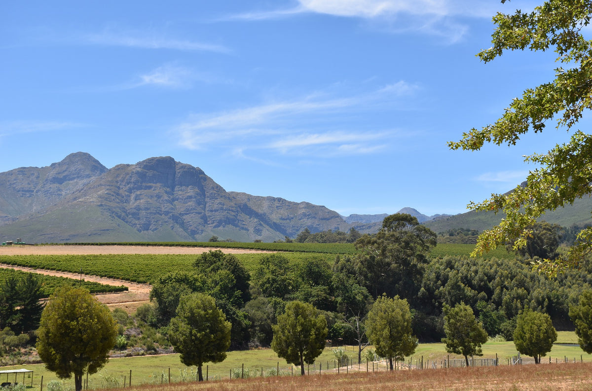 In the Footsteps of Nelson Mandela
