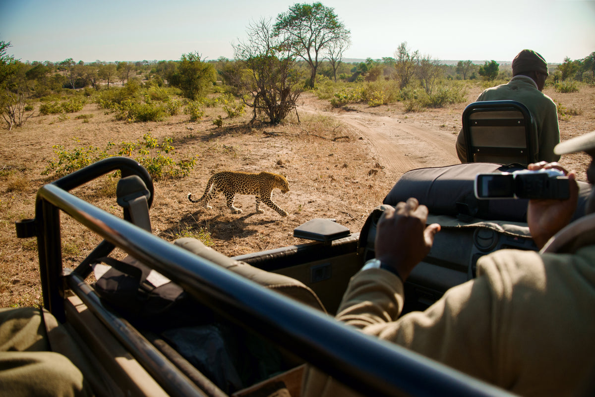 Dinokeng Day Safari