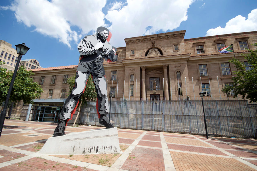 Johannesburg Inner-City Walking Tour