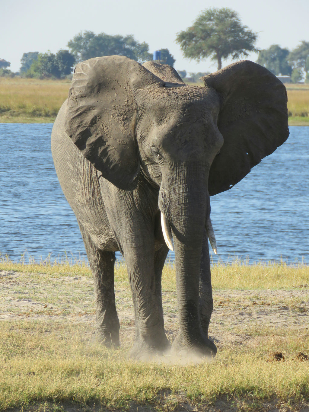 Wonders of Southern Africa: South Africa, Victoria Falls & Botswana