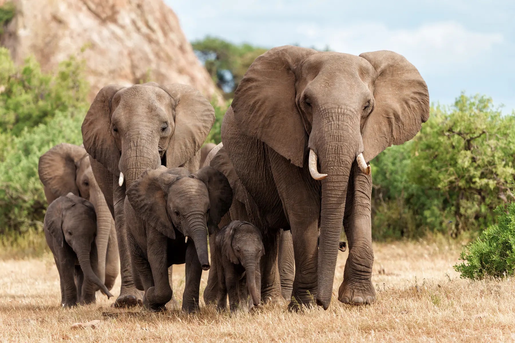 Botswana