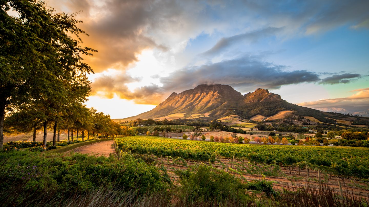 Wine region near Stellenbosch looking at Simonsberg in South Africa