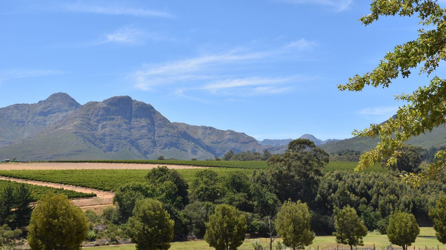 D3 Winelands Natondi Tours